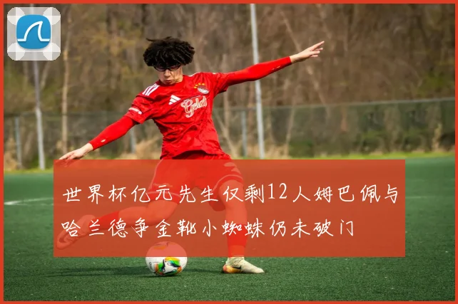 世界杯亿元先生仅剩12人姆巴佩与哈兰德争金靴小蜘蛛仍未破门